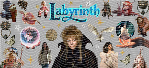 16oz Latest Bestseller-C 6599